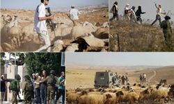 Hem siyonist hem de hırsız: Filistinlileri darbedip hayvanlarını çaldılar