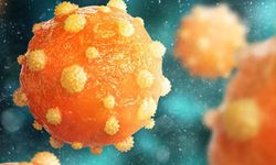 Hepatit sinsi ilerleyebiliyor!