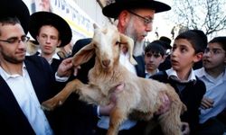 Kudüs Valiliği: Mescid-i Aksa'da hayvan kurban etme girişimi "Yahudileştirme" çabası