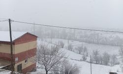 Malatya'da bahar ortasında kar sürprizi