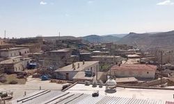 Mardin’de kuduz şüphesiyle bir mahalle karantinaya alındı