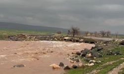 Mardin’de sağanak etkisini sürdürüyor: Dereler taştı, yollar göle döndü