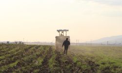 Mardinli çiftçilerden uyarı: Destek olmazsa ekim durur