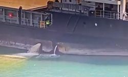 Mersin Limanı’nda denizi kirleten gemiye 13 milyon lira ceza