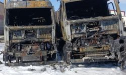 Mersin’de park halindeki tır alev alev yandı