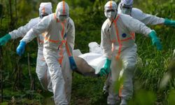 Nijerya'da Lassa ateşi salgın alarmı: 10 sağlık çalışanı hayatını kaybetti