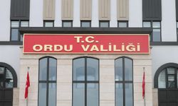 Ordu'da sahile insansız deniz veya hava aracı vurdu