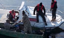 Şanlıurfa’da drone destekli av denetimi