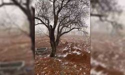 Şanlıurfa’da kar yağışı etkili oluyor