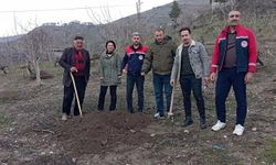 Siirt’te fıstık ağaçları kuruyor, ekipler alarmda