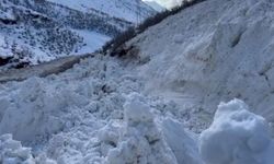 Şırnak–Hakkari yolu çığ sonrası yeniden ulaşıma açıldı