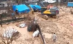 Şırnak’ta sel ve heyelan: Evler zarar gördü, çok sayıda hayvan telef oldu