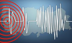 Solomon Adaları'nda 6,7 büyüklüğünde deprem 