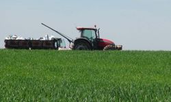 Tarım Müdürlüğü'nden uyarı: Yağışlar hastalık riskini artırıyor