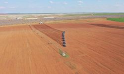 TİGEM Ceylanpınar’da 1'inci ürün dane mısır ekilişlerini tamamladı