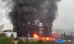 Trabzon'da fındık fabrikası deposunda yangın