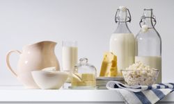 Türkiye'den Güney Afrika'ya süt ve süt ürünleri ihracatının önü açıldı