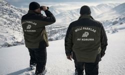 Yaban keçisi avına 984 bin lira ceza