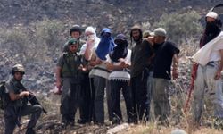 Yahudi çeteler Batı Şeria'da 5 günde 109 saldırı düzenledi