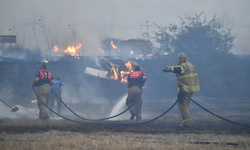 2025’te en fazla orman yangını İzmir’de çıktı