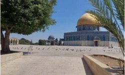 39 gündür kapalı olan Mescid-i Aksa'da sessizlik