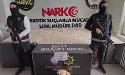 71 ilde uyuşturucu operasyonu: 903 şüpheli yakalandı