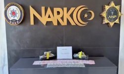 Ağrı'da gerçekleştirilen uyuşturucu operasyonunda 1 kişi tutuklandı