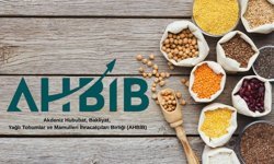 Akdeniz ihracatında yeni denge arayışı: ilk çeyrek verileri açıklandı