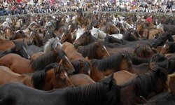 At eti skandalındaki firma yolsuzluk soruşturmasında