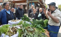 Baharla birlikte şifalı bitkiler tezgahlarda yerini aldı