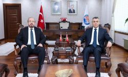 Bakan Yardımcısı Şatıroğlu, Mersin Valisi Atilla Toros’u ziyaret etti