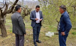 Başkan Ulutaş, doludan etkilenen kayısı üreticilerini ziyaret etti
