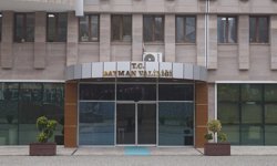 Batman Valiliği: Şehir merkezinde görülen yaban domuzu etkisiz hale getirildi