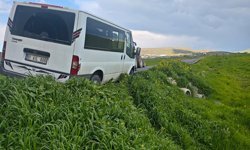 Batman'da başıboş köpeklere çarpmamak için manevra yapan araç şarampole devrildi