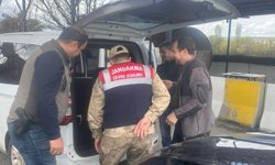 Batman'da biyokaçakçılığa yönelik denetimler artırıldı