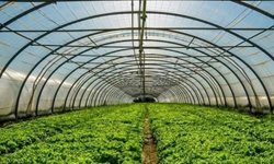 Batman'da çiftçilere yüzde 50 hibeli sera desteği başvuruları başladı