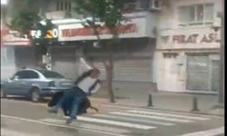 Batman'da yaban domuzu şehir merkezine indi: Bir kişi yaralandı