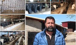 Besicilerden uyarı: Önlem alınmazsa sektör bitecek