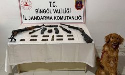Bingöl'de silah ve mühimmat ele geçirildi: 1 gözaltı
