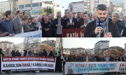 Bingöl'den işgal rejimine tepki: Küresel vicdan hareketine engel olamayacaksınız