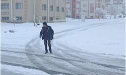 Bitlis'te mevsimin adı bahar, yaşamın adı kış