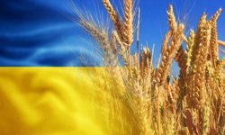 Çernobil'in yasaklı bölgesinde tarım skandalı