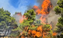 Çiftçi ve Yumaklı'dan orman yangınları için koordinasyon toplantısı