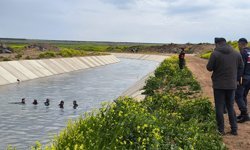 Diyarbakır'da 3 yaşındaki çocuk kayboldu: Ekipler arama çalışması başlattı