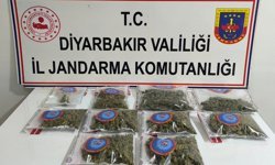 Diyarbakır'da uyuşturucu operasyonları: 23 kilo esrar ele geçirildi