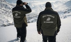 Doğa Koruma ve Milli Parklar uzmanlığında yeni düzenleme