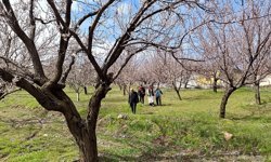 Dolunun vurduğu Malatya'da 20 bin dekardan fazla alanda hasar tespit edildi