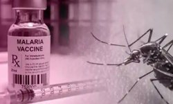 DSÖ'den sıtma uyarısı: Sıtmayı ortadan kaldırmak için şimdi yapabiliriz ve şimdi harekete geçmeliyiz