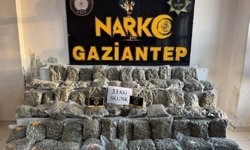 Gaziantep'te 33 kilogram skunk ele geçirildi: 1 tutuklama