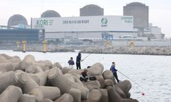 Güney Kore’de Kori-2 nükleer reaktörü yeniden devreye alındı